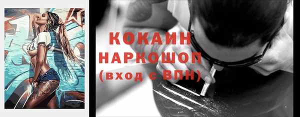 тгк Ладушкин