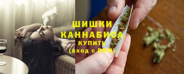 тгк Ладушкин