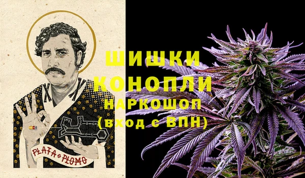 тгк Ладушкин