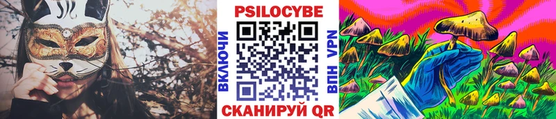 Купить  Ленинск  Галлюциногенные грибы MAGIC MUSHROOMS 